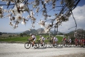Antalya Bisiklet Turundan renkli kareler