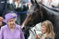 Kraliçenin atı dopingli çıktı!